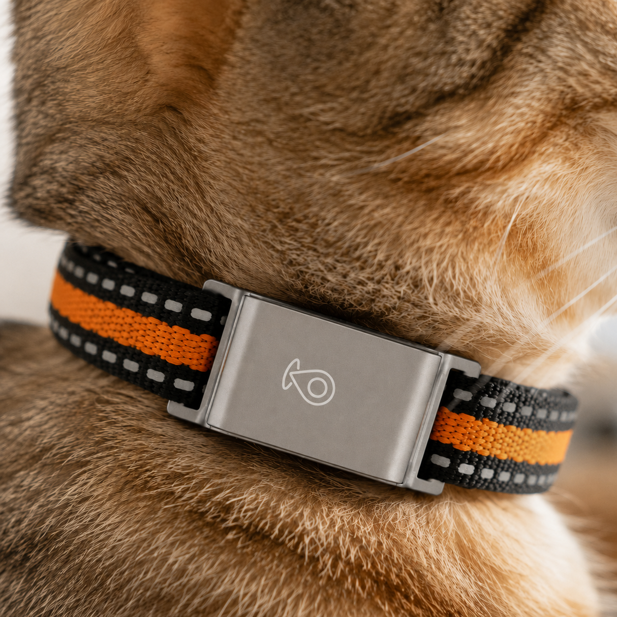 TRACKPAW – GPS Pet Collar Tracker for Dogs & Cats