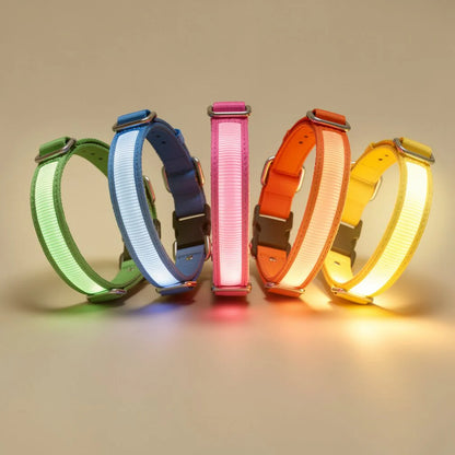 LUMIVO – LED Dog Collar for Night Walks